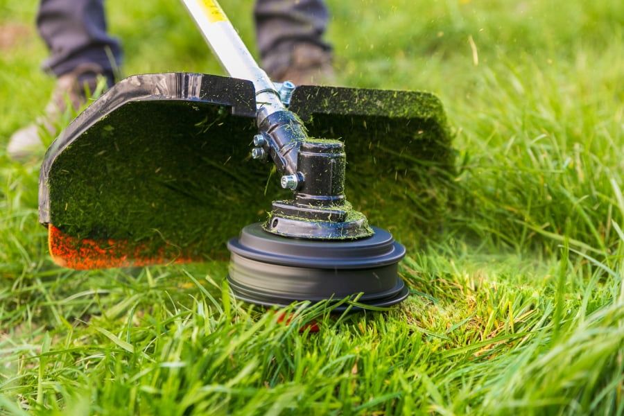 Покос трави на ділянці, на дачі, біля будинку. Удаление поросли, уборк ...