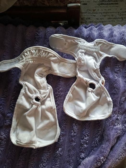 Памперсы для щенков многоразовые