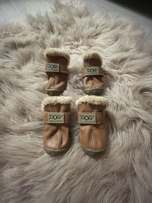 Обувь для собачки