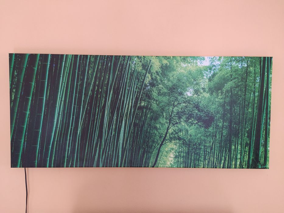 Картини з підсвічуванням