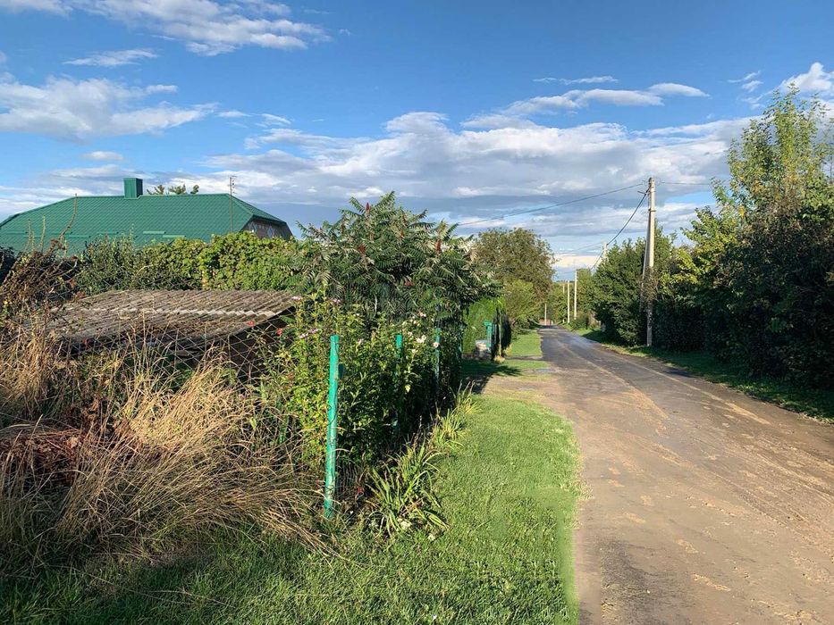 Продам ділянку 25 сотих зі старим будинком, с. Ставки