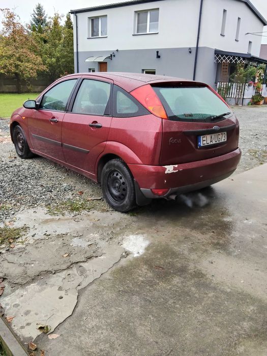 Tania Foczka na dojazdy do pracy