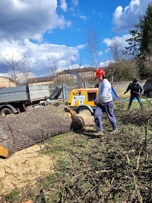 Wycinka drzew, koszenie trawy