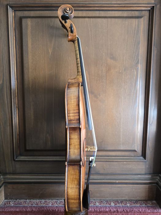 Violino 4/4 Alemão