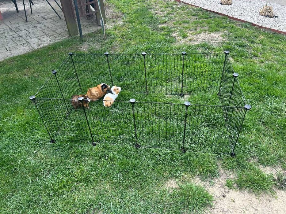 Wybieg Kojec Klatka dla Świnki Morskiej Królika Gryzoni Gryzonia NOWY