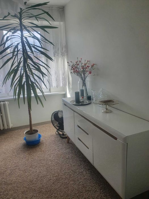 Mieszkanie 60,2m2 M4 Zgierz Kurak