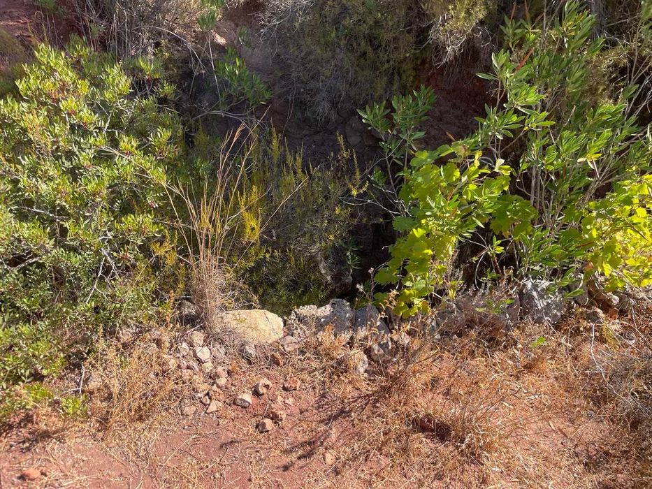 Terreno Rústico à Venda em Fonte da Benevola