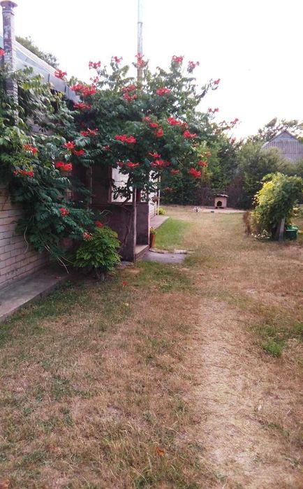 Продажа дома срочно