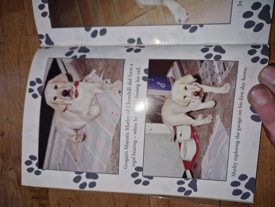 Ksiazka "Marley a dog like no other"