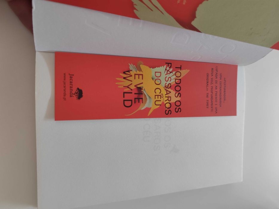 Todos os pássaros do céu de Evie Wyld