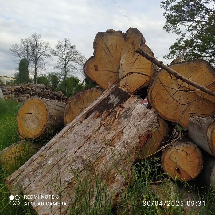 Lenha seca da melhor qualidade