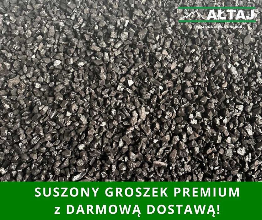 Groszek Ałtaj - Suwałki i okolice TRANSPORT GRATIS !