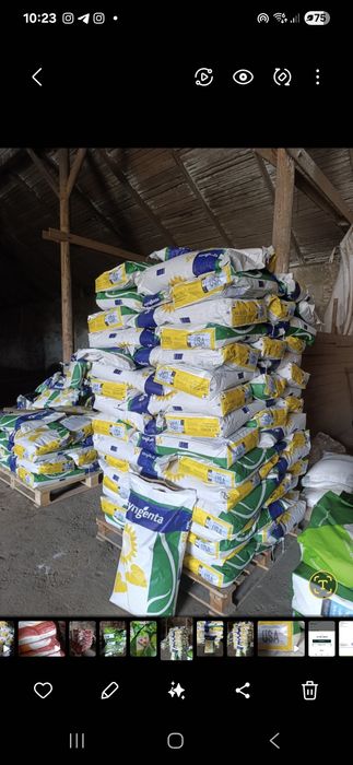 Продаж посівного матеріалу. Ку