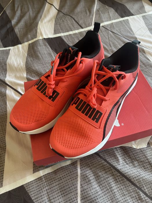 Puma prospect  44