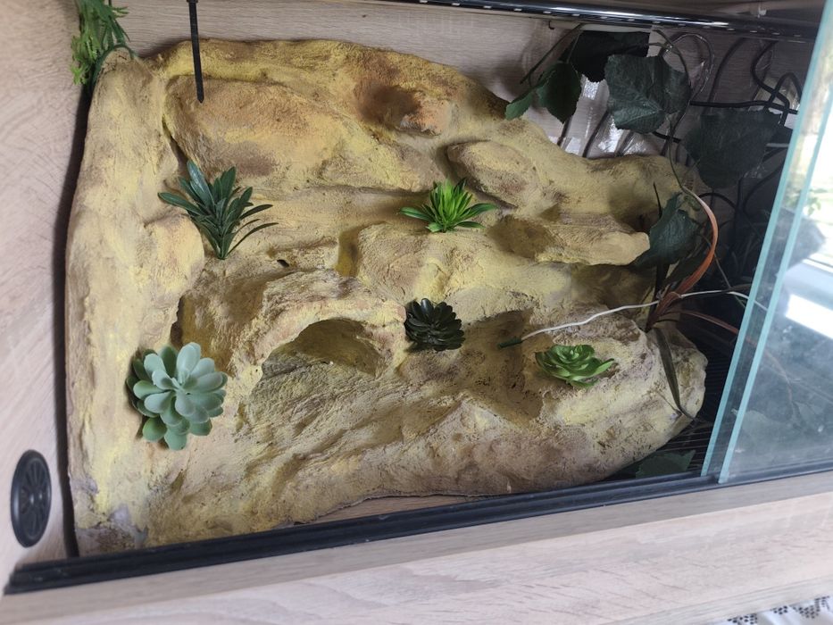Terrarium dla gadów z wyposażeniem