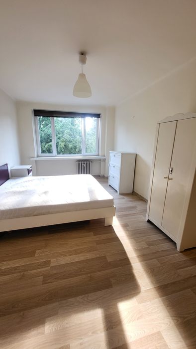 Mieszkanie do wynajęcia ok.50 m² - Widok 3