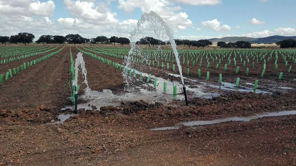 Osłonki ochronne na drzewka wysokość 70cm