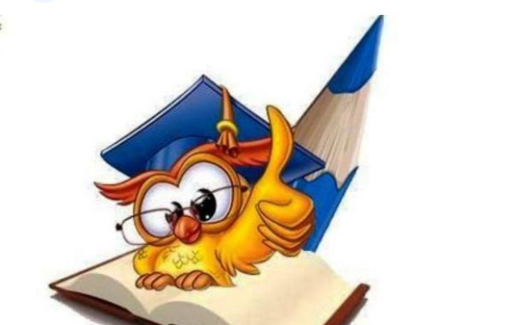 Explicações e Prep. Exames - Português