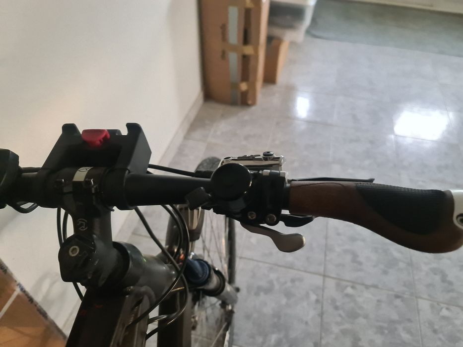 Bicicleta eléctrica