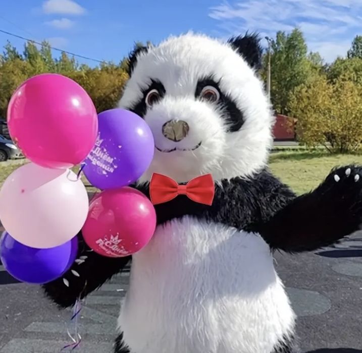 Miś Panda Show żywa maskotka! Atrakcja na urodziny, komunie, wesela