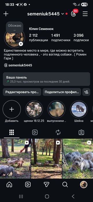 Буллі  малюки в типі покет АВКС.