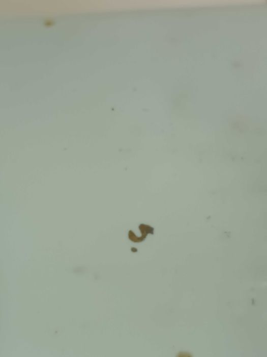 Raro Covilhete em Porcelana da Vista Alegre Anos 60