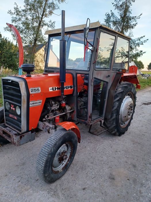 Ciągnik Ursus MF 255