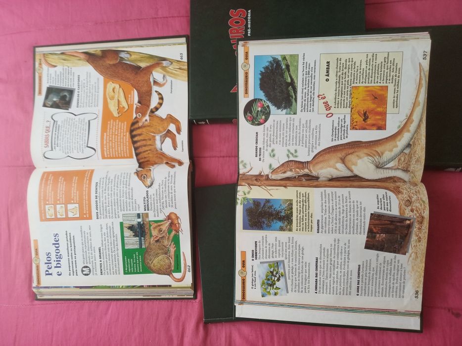 5 Volumes DINOSSAUROS ( Completa ) lote ouro