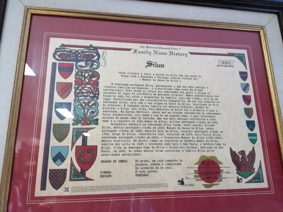 Moldura com história do nome de família Silva