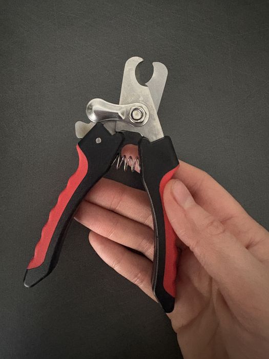 Когтерез новый небольшой