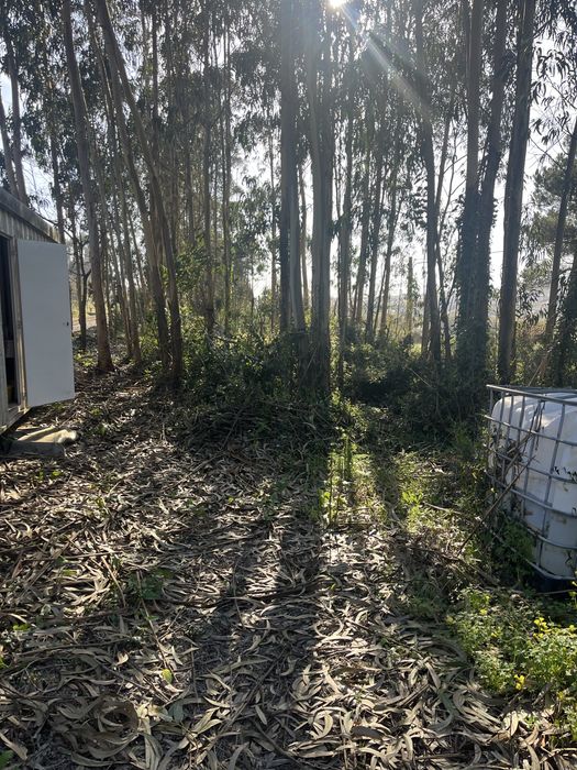 **NOVO PREÇO** Terreno com contentor Famalicão/Nazaré