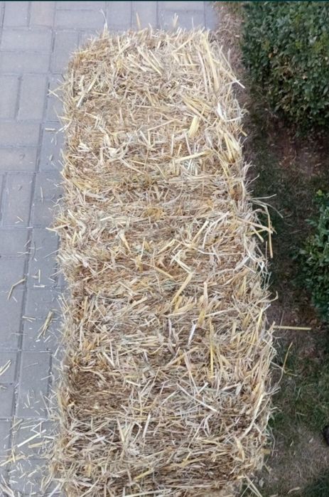 Продам солому в тюках.