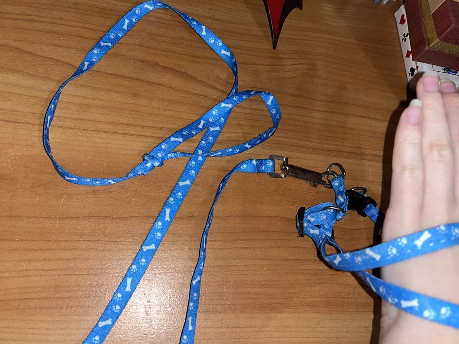 Шлейка для маленькой собаки шлейка для кота