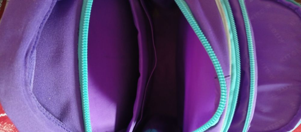 Рюкзак Фіолетового кольору