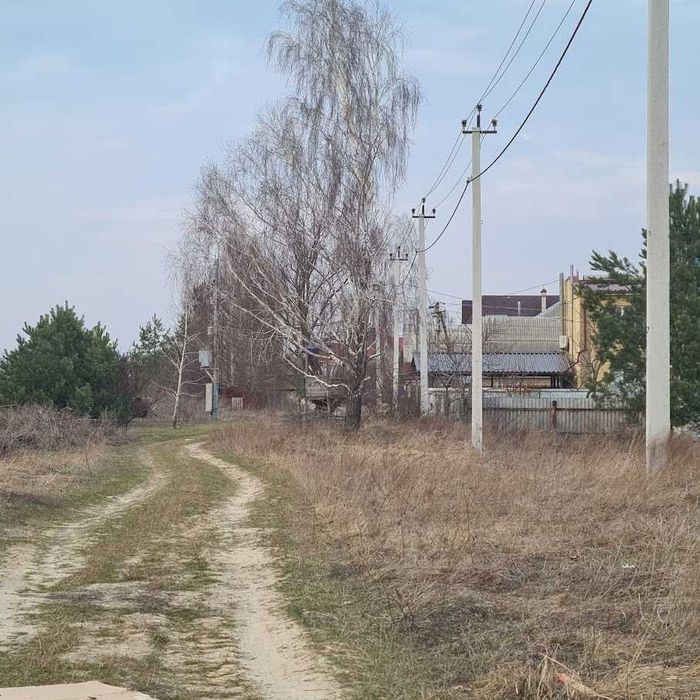 Без комісії ділянка 1 Га в Броварському районі біля с. Скибин