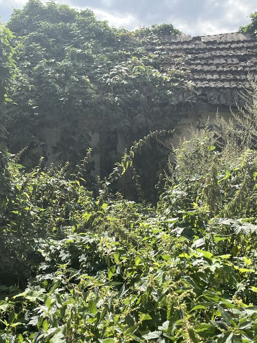 Продаж будинку Котельва