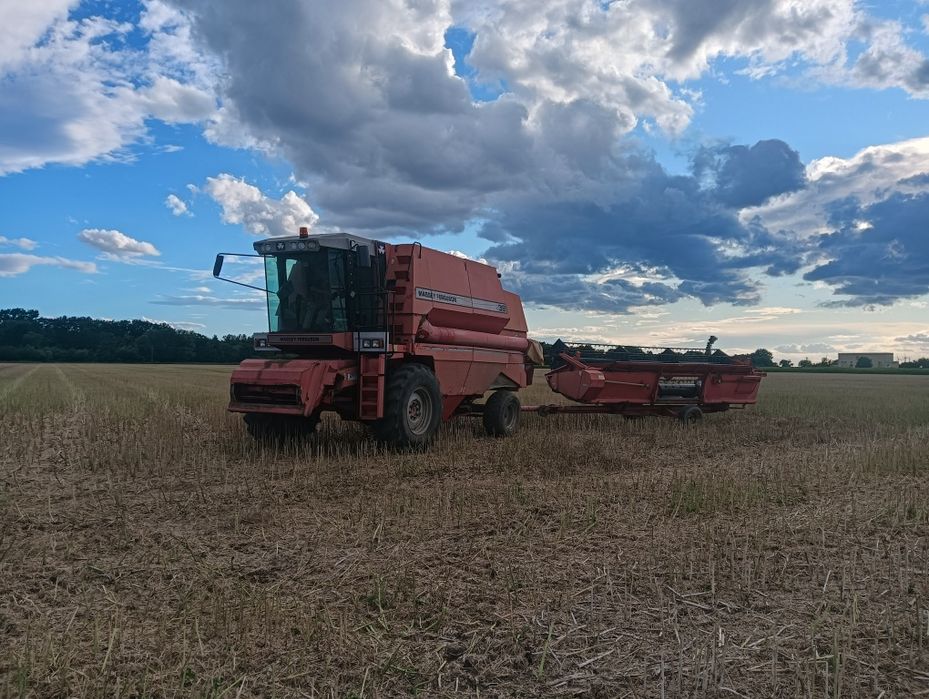 Kombajn Massey Ferguson 38