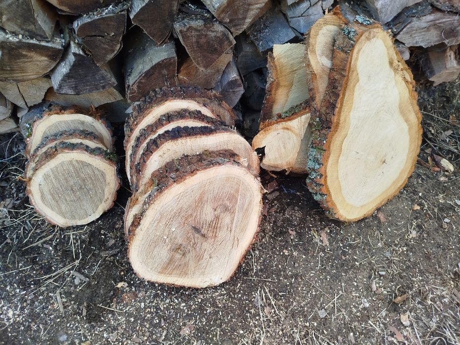 Plastry dębowe - różne rozmiary