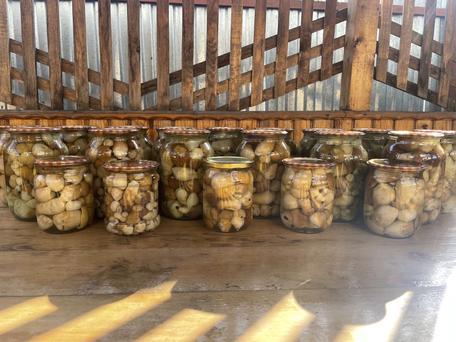 Риба копчена, сушена таранька Летичів. Гриби