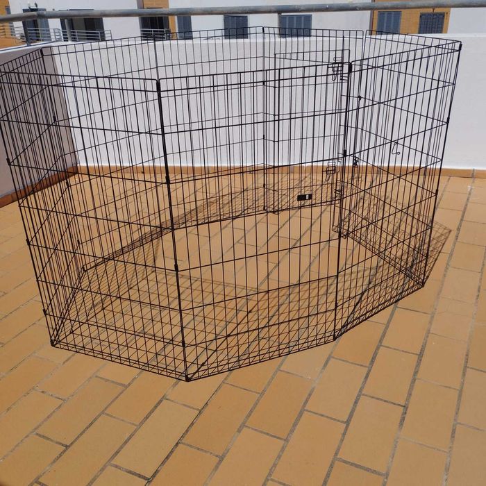 Parque de treino para cães