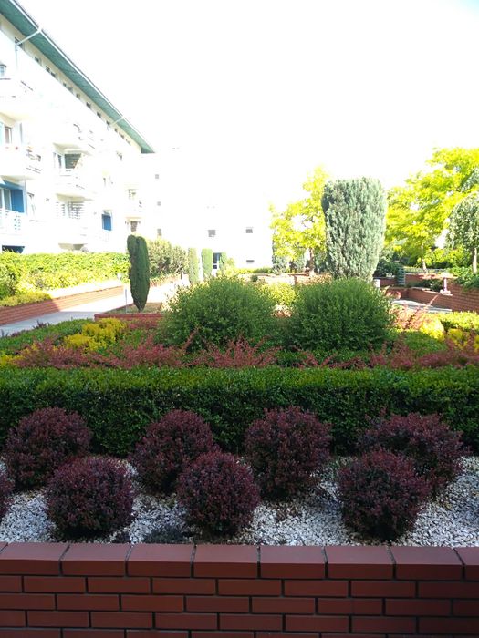 Zdjęcie 8