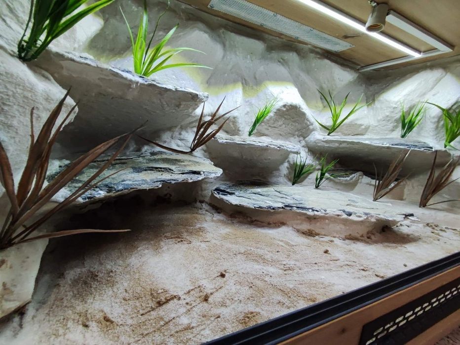 Terrarium 120x60x60 z płyty meblowej agama gekon jaszczurka KOŚCIAN