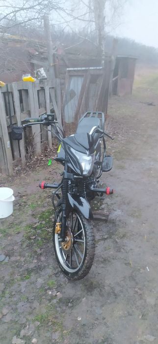 Mustang fit 2 125 2024