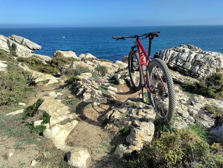 Specialized Epic HT Expert Carb 29