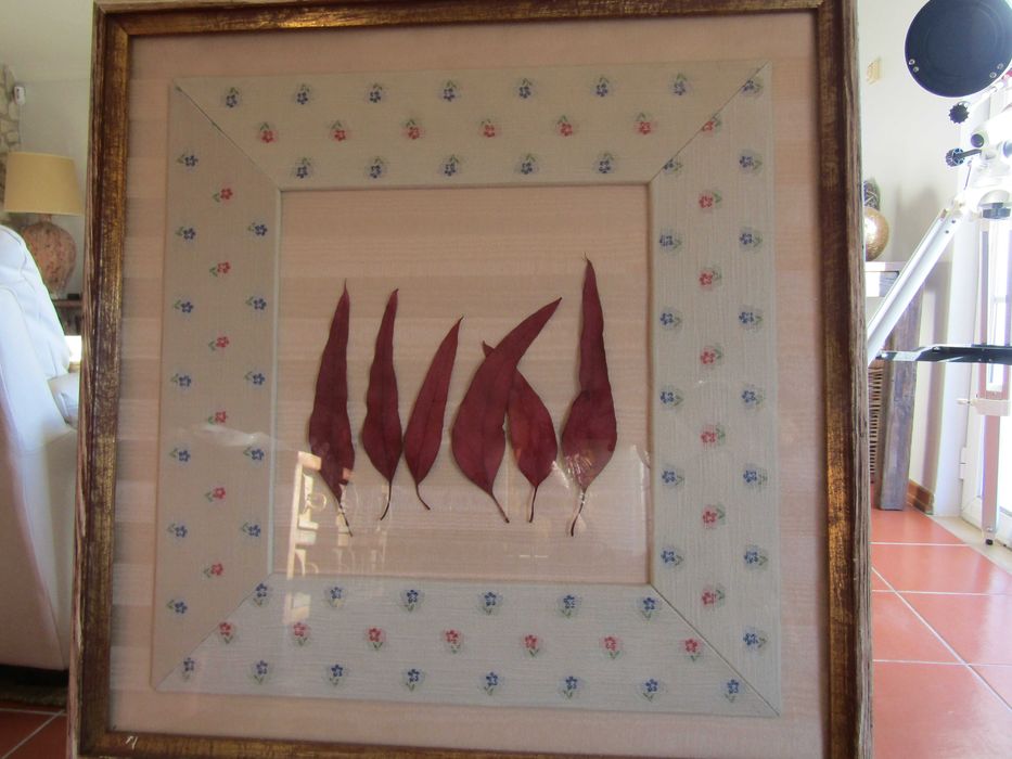 Quadro com folhas secas e tecido