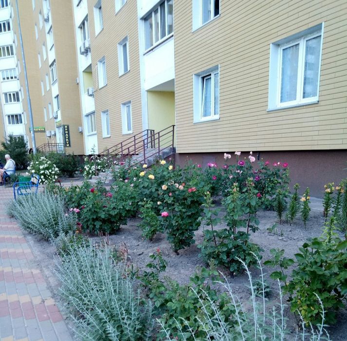 Вул.Данченка 5. Варшавський квартал