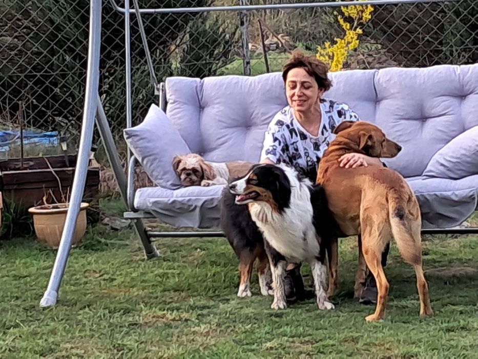 Hotel dla psów I innych futrzaczków