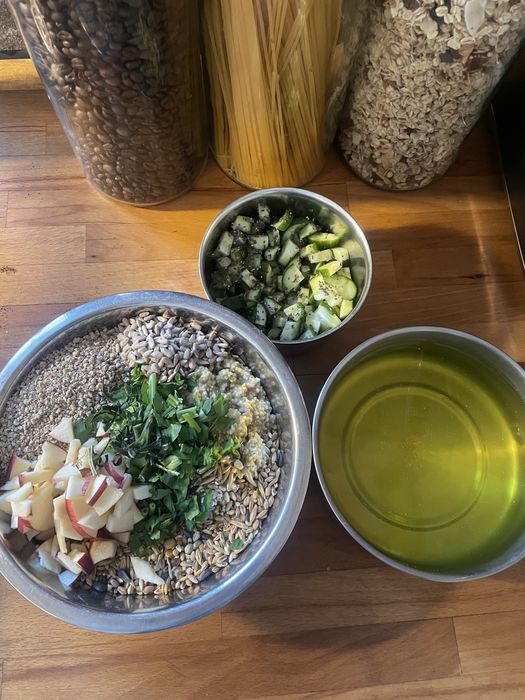 Biegus indyjski pisklęta