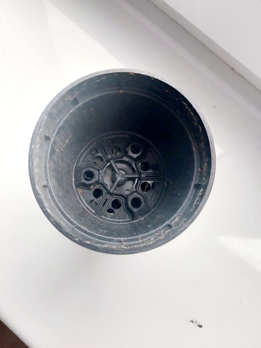 Małe doniczki (50 szt.) do sadzenia warzyw 0.33l