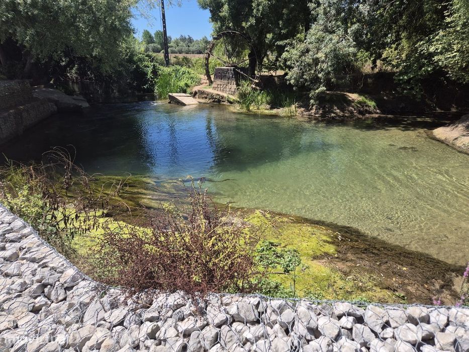 Quinta com 5.350 m2 de Terreno a 20 min de Coimbra